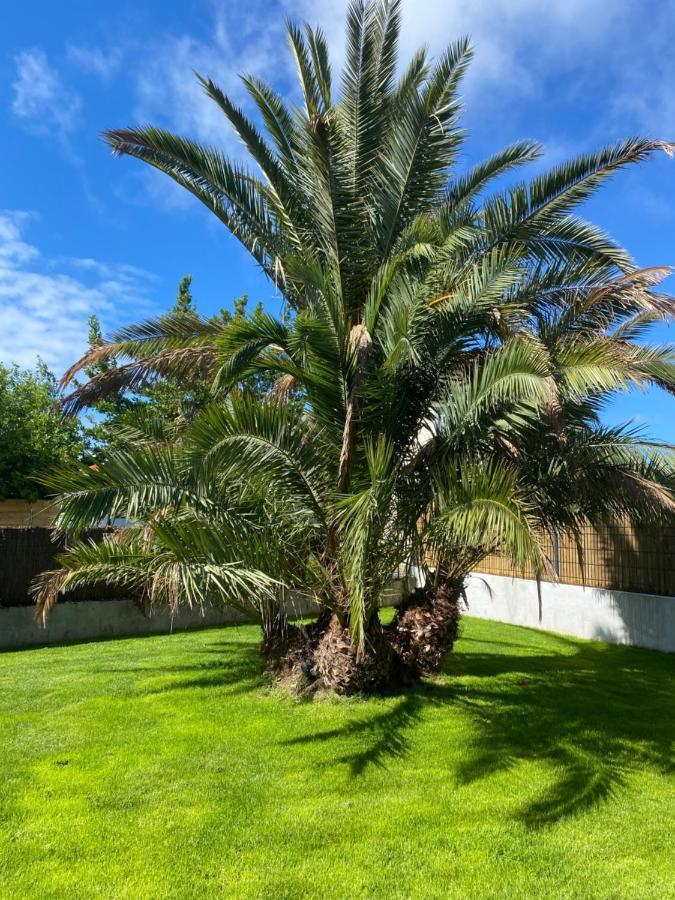Le 19 Panzió Séné Kültér fotó